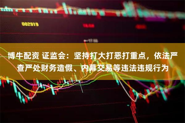 博牛配资 证监会：坚持打大打恶打重点，依法严查严处财务造假、内幕交易等违法违规行为